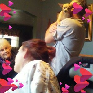 Meet your Posher, Amy ruggiers